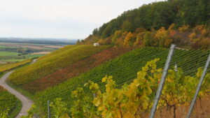 Mehr über den Artikel erfahren Herbsttour 2024